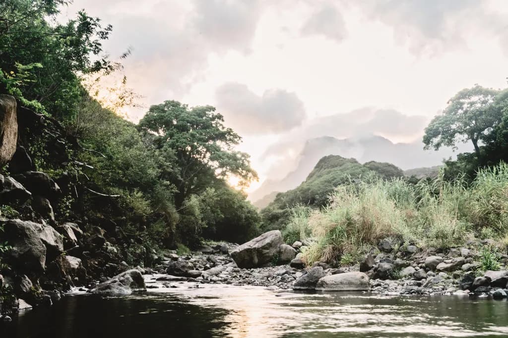 Whispers of Dawn: A Serene River Landscape at Sunrise