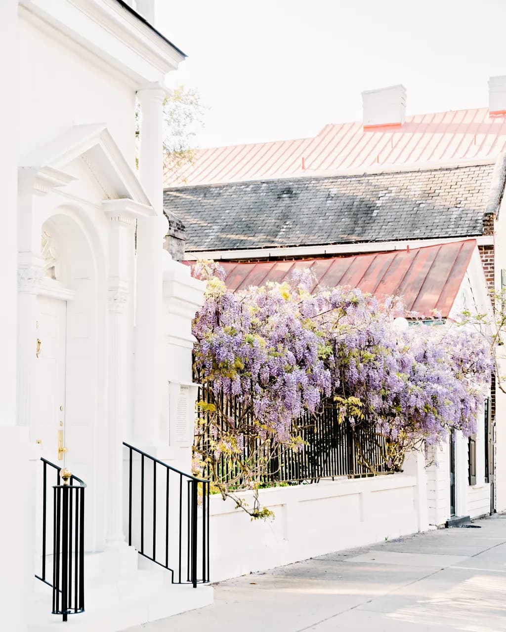 Whispers of Wisteria: A Serene Urban Escape