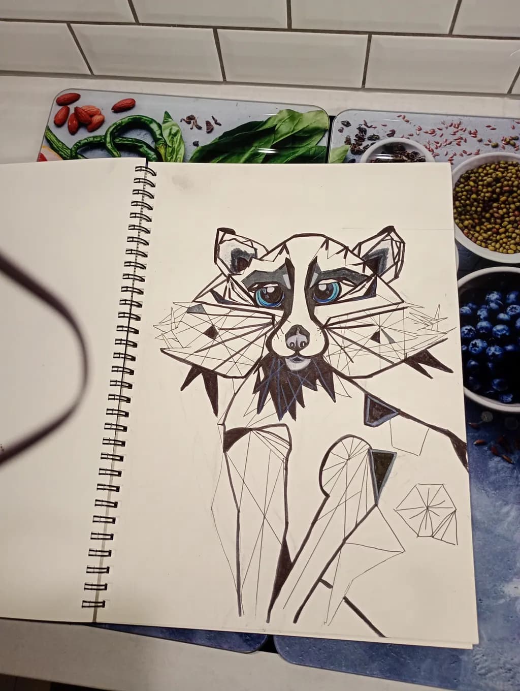 Geometric Raccoon Sketch