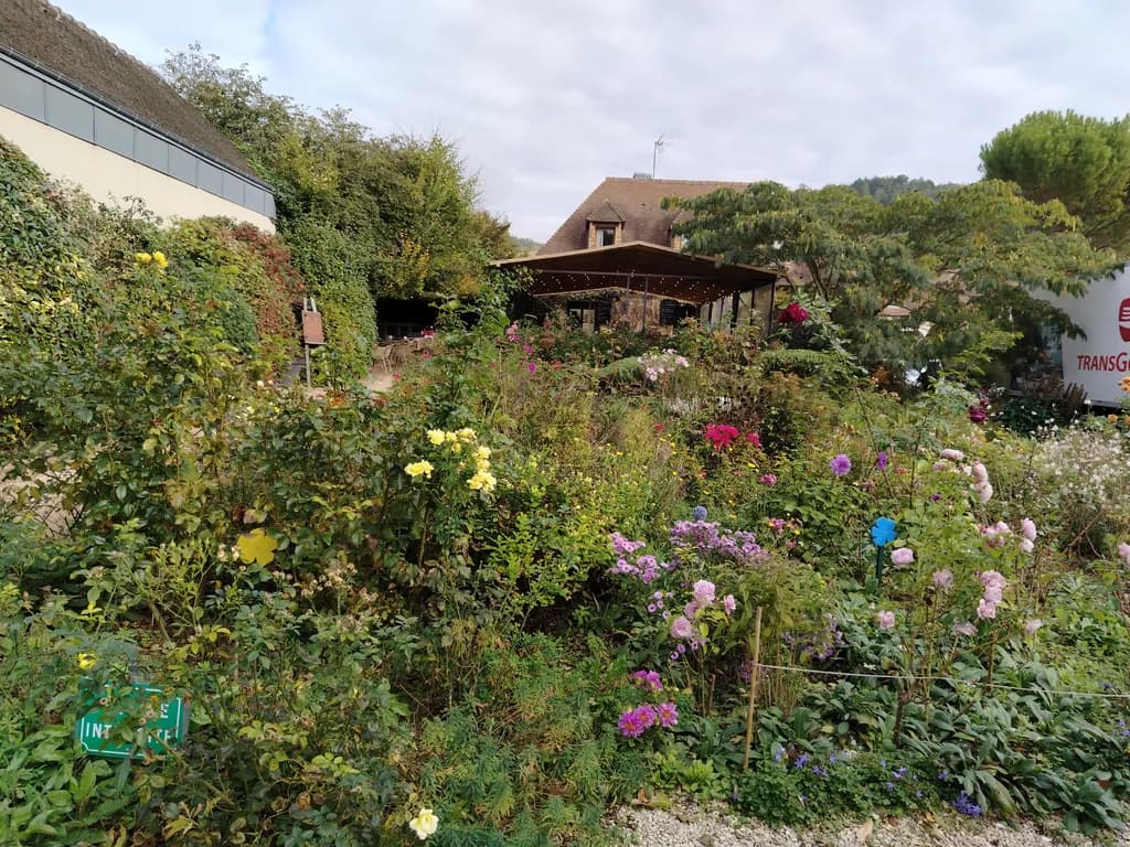 Whispers of Nature: A Lush Garden Retreat in Bloom