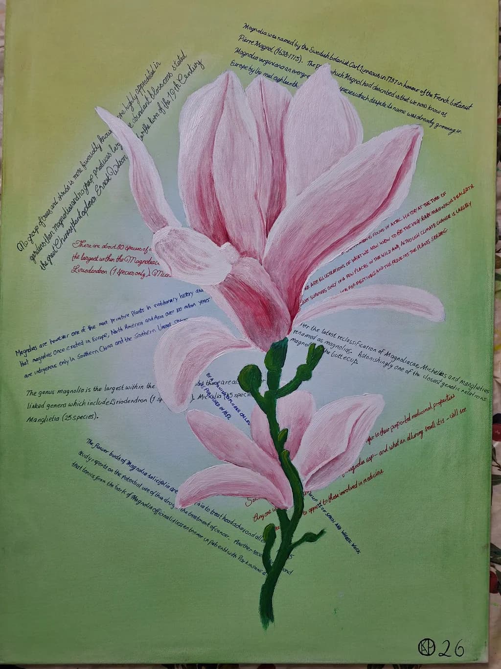 Magnolia Notes