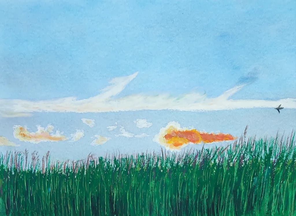 Study on an afternoon sky