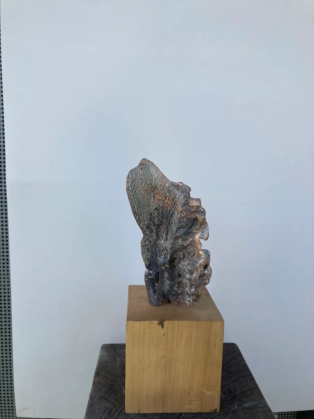 Whispers of Nature: A Sculptural Journey in Bronze and Wood