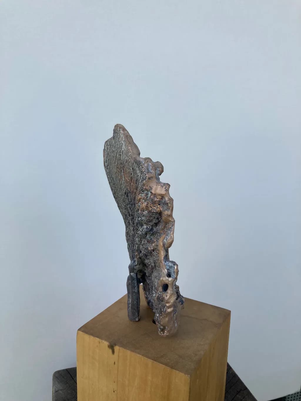Whispers of Nature: A Sculptural Journey Through Time and Texture