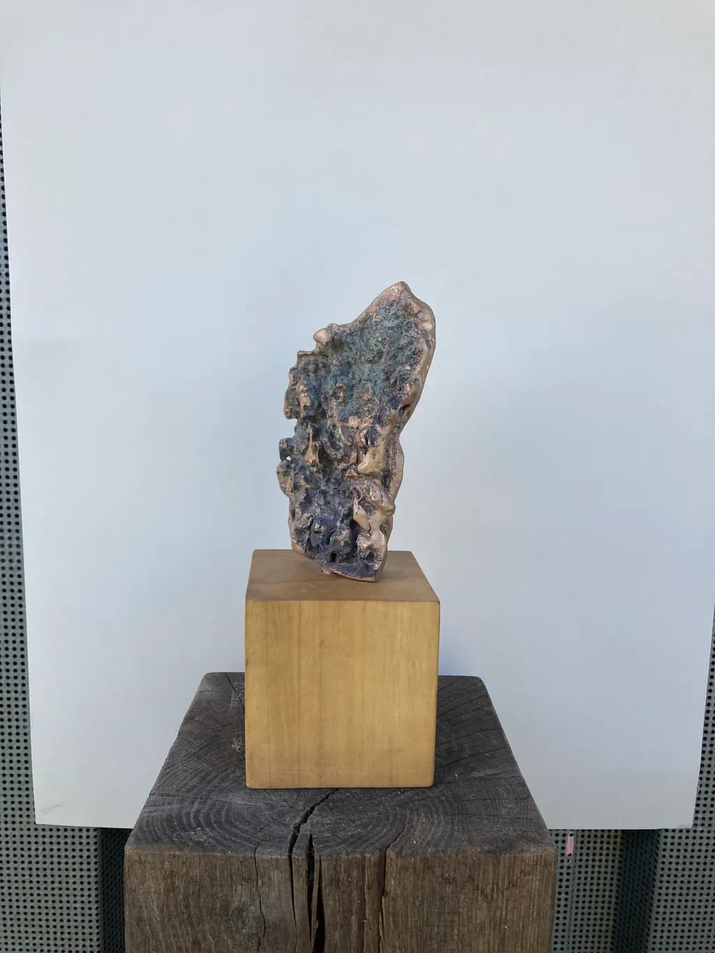 Whispers of Nature: A Sculptural Journey in Bronze and Wood