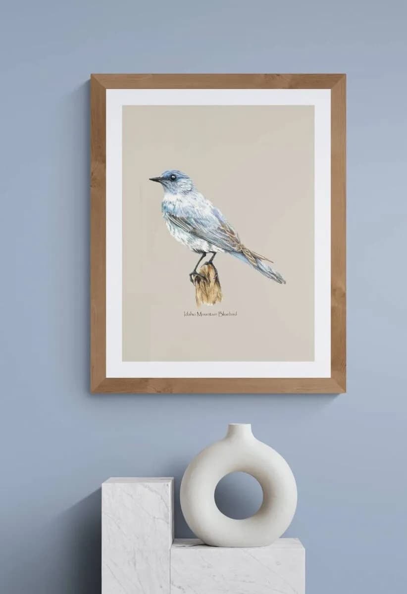 Whispers of the Sky: Idaho Mountain Bluebird in Serene Elegance