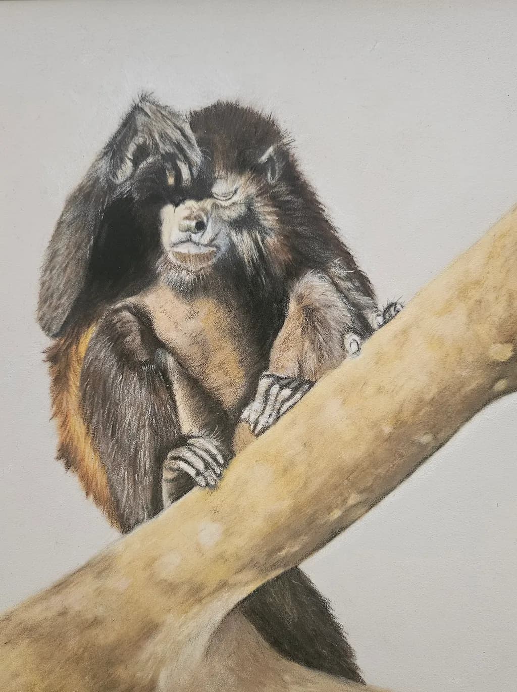Whimsical Contemplation: A Thoughtful Monkey on a Branch