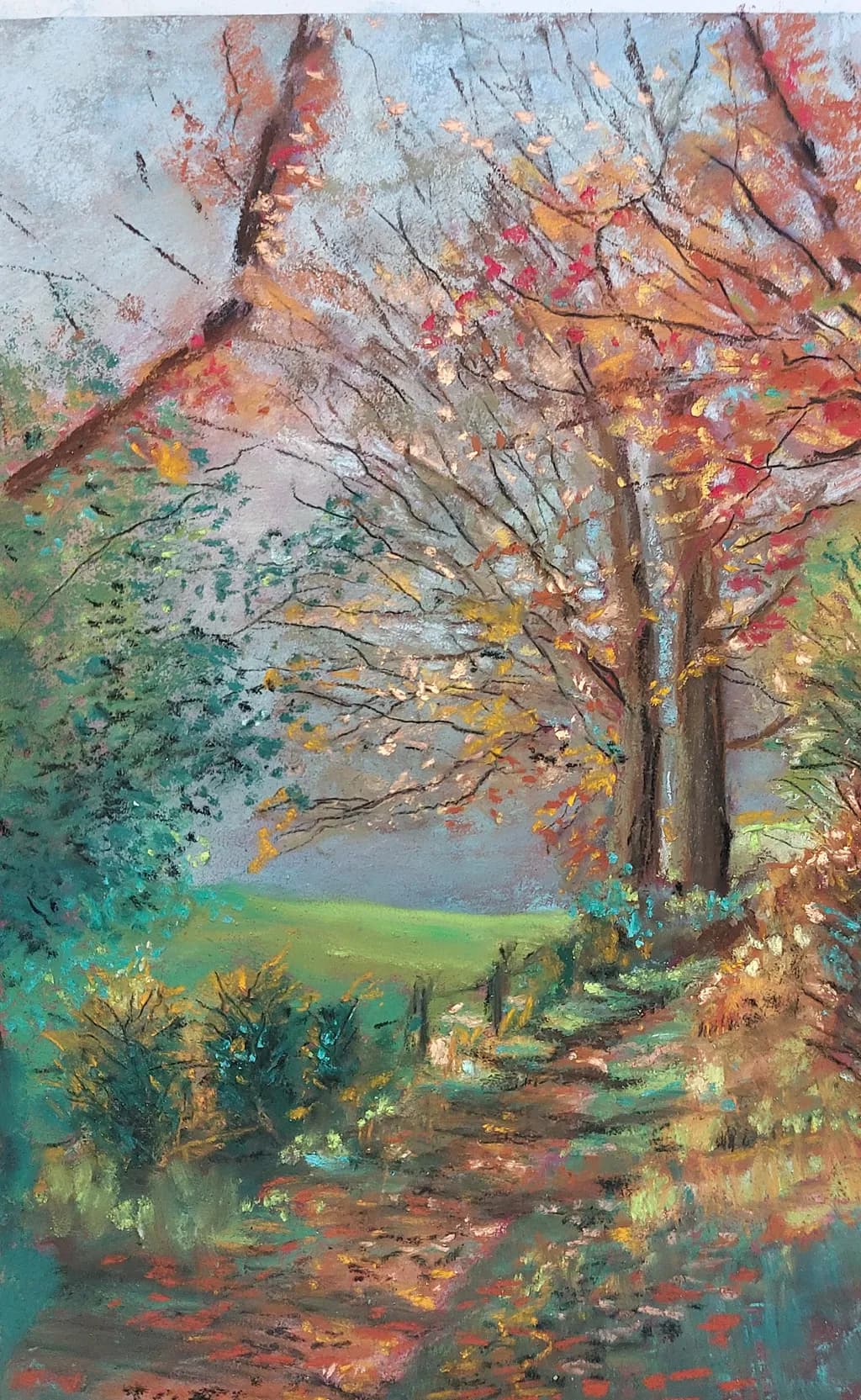 Autumn Forest Path