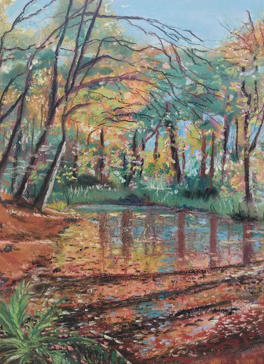 Woodland Pond Reflections