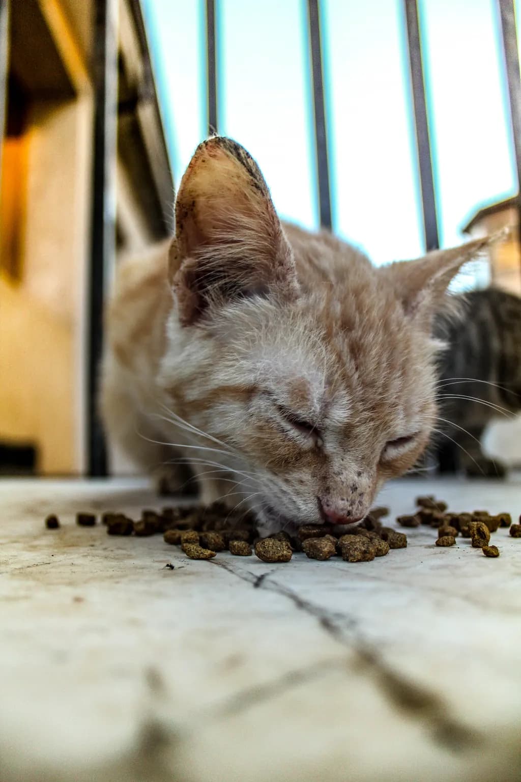Quiet Feast