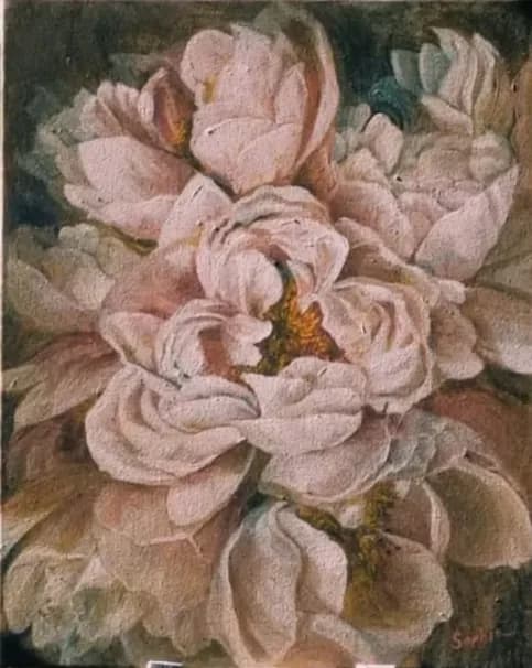 Blush Blossoms