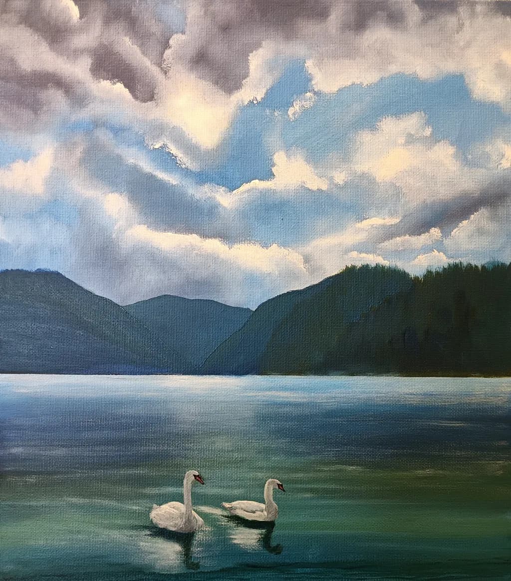 Swan Reflection