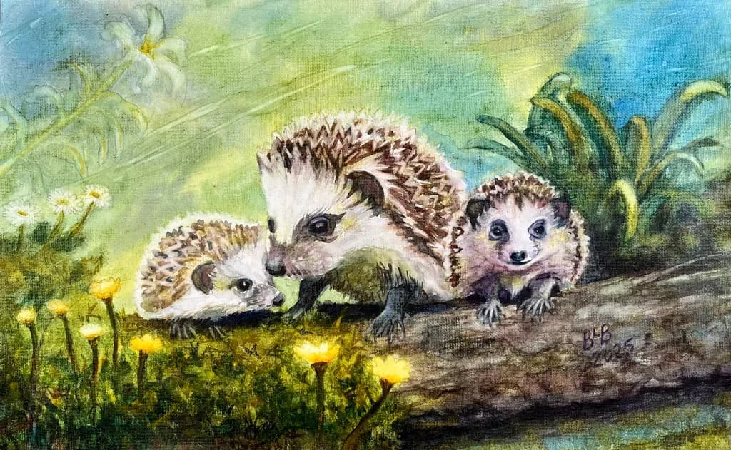 Hello Hedgehogs
