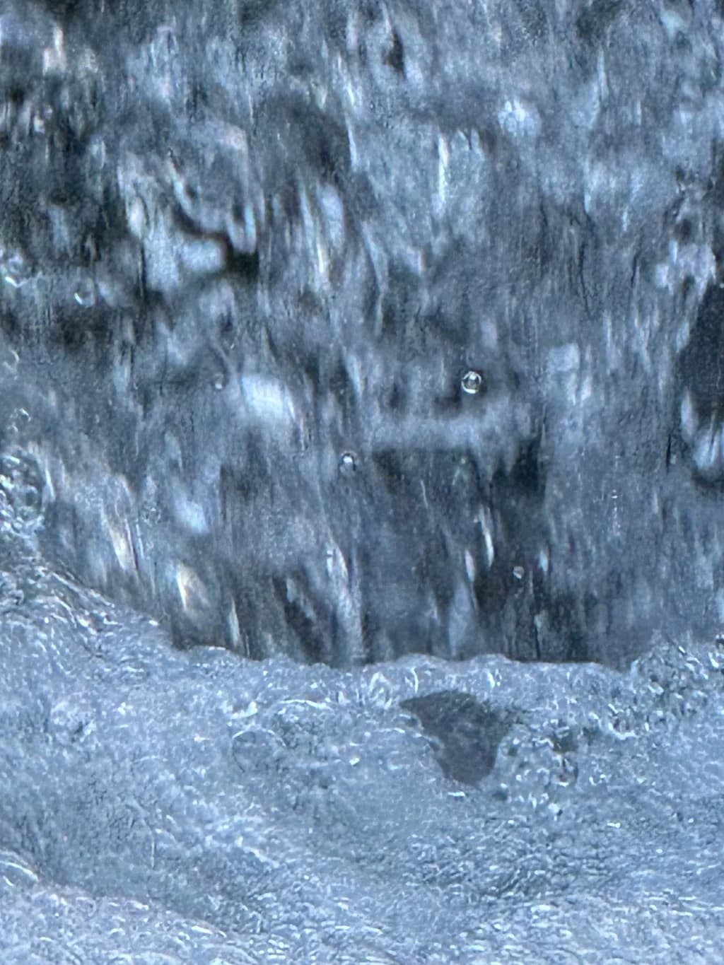 Whispers of Water: A Dance of Light and Motion in Fluid Harmony