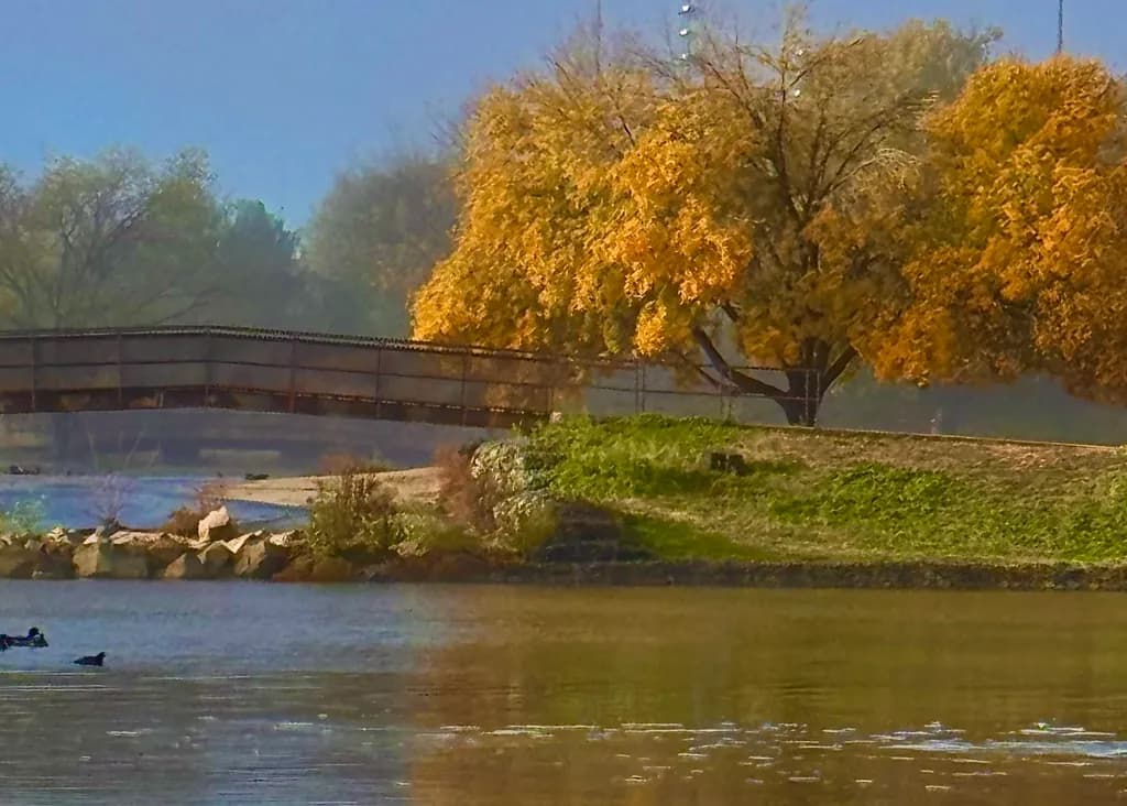 Autumn's Embrace