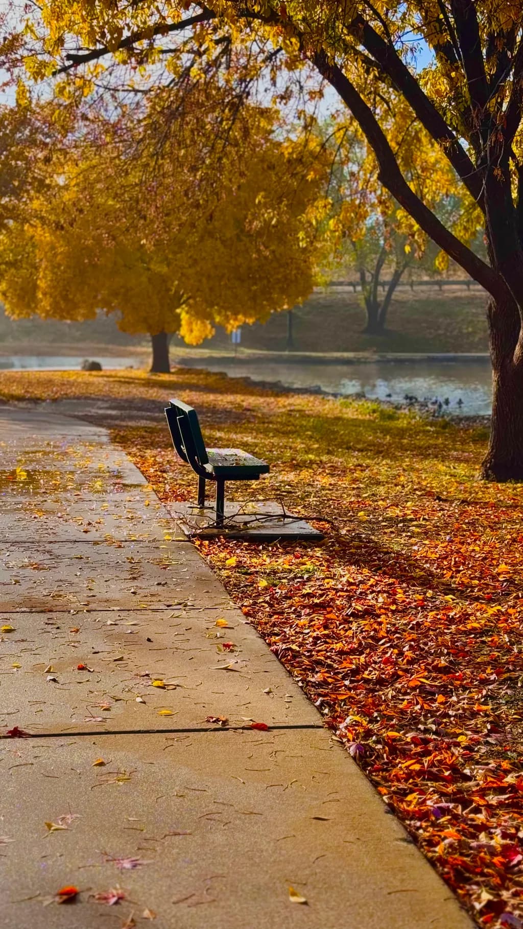 Autumn Reflections
