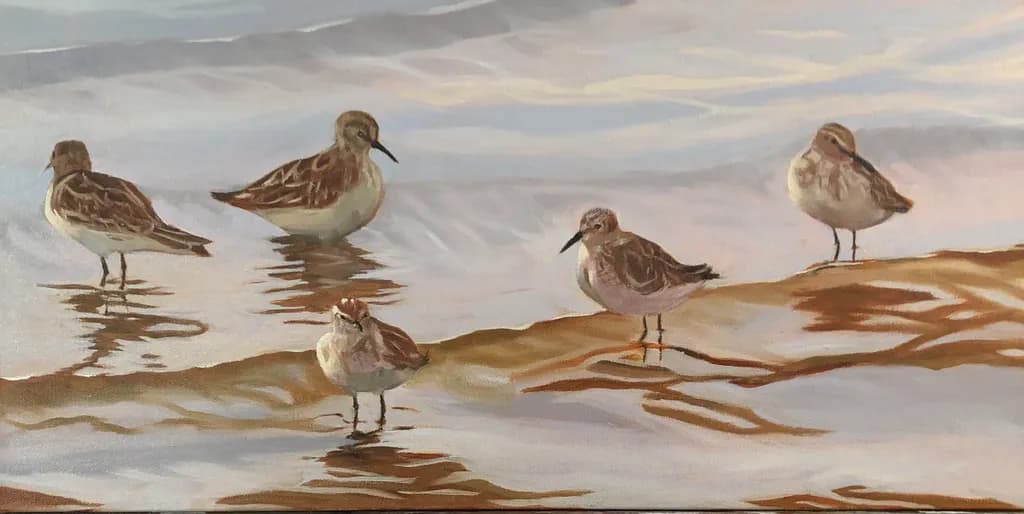 Shoreline Quartet
