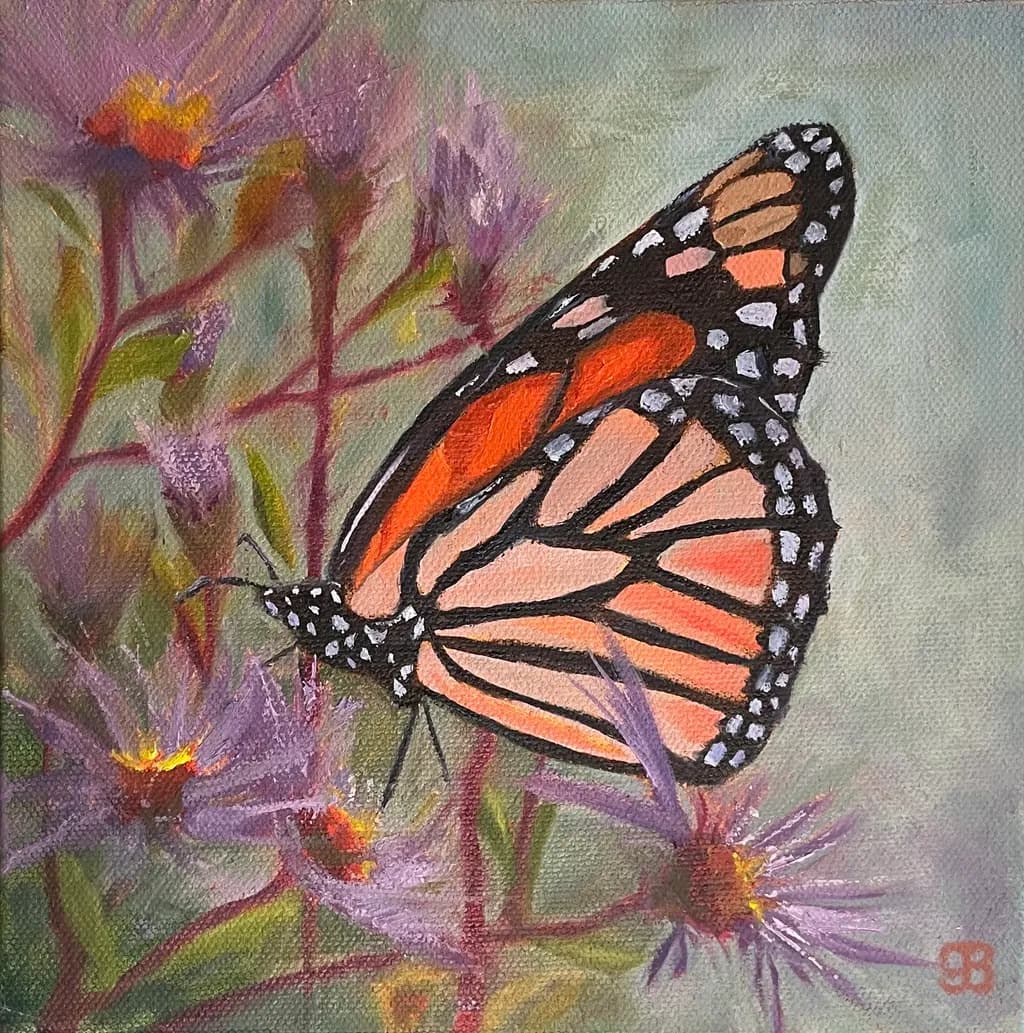 Monarch on Asters