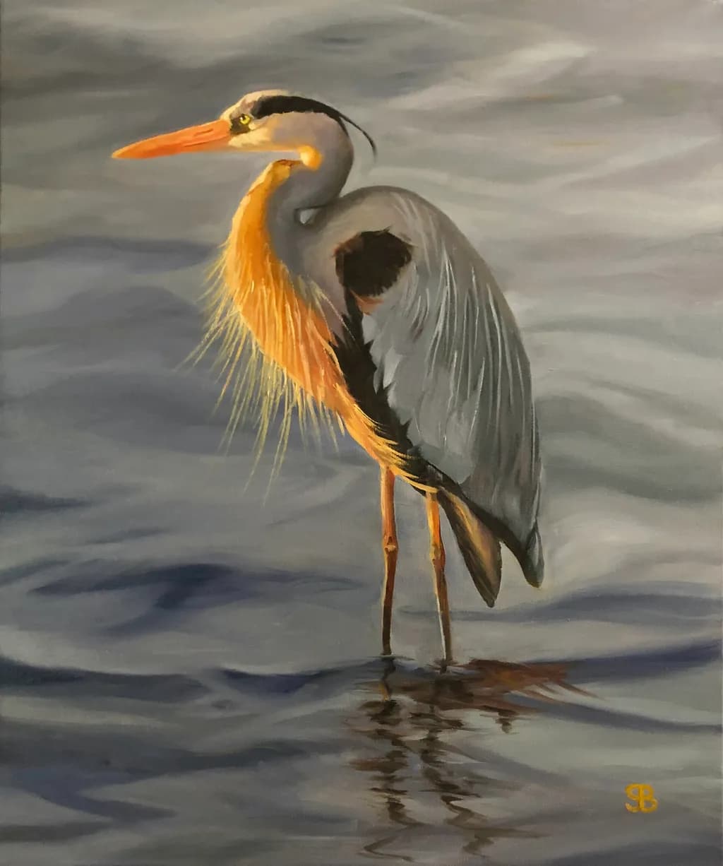 Amber Heron Reflection