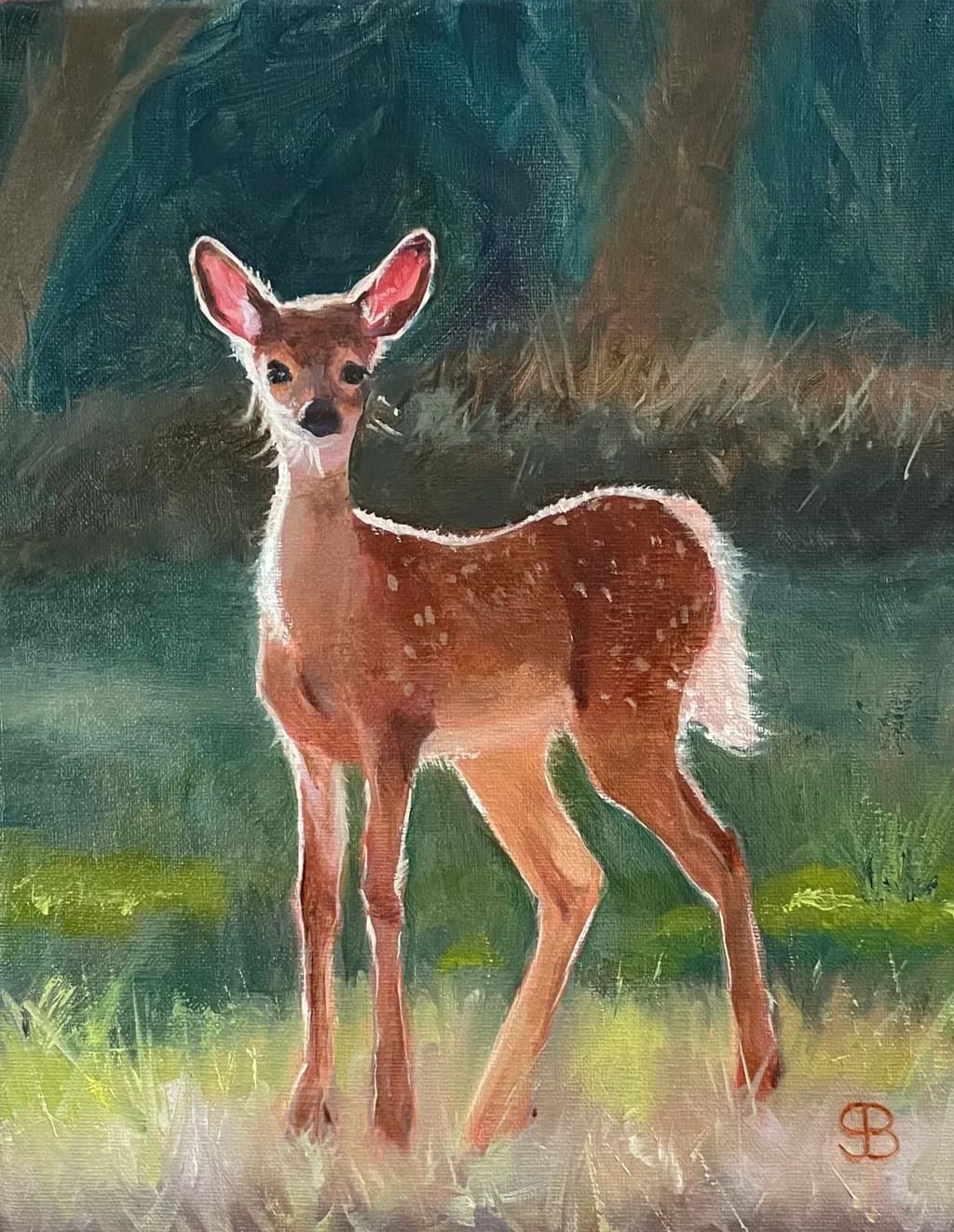 Forest Fawn