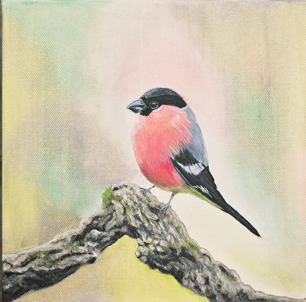 Vibrant Bullfinch Perched on a Branch: A Serene Nature Portrait