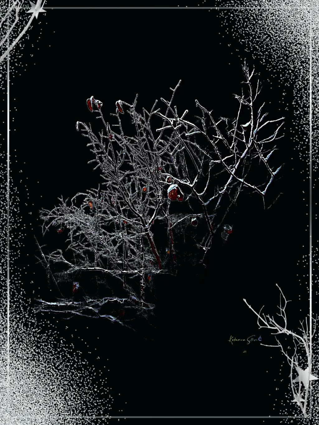 Whispers of Winter: A Frosted Embrace in Darkness