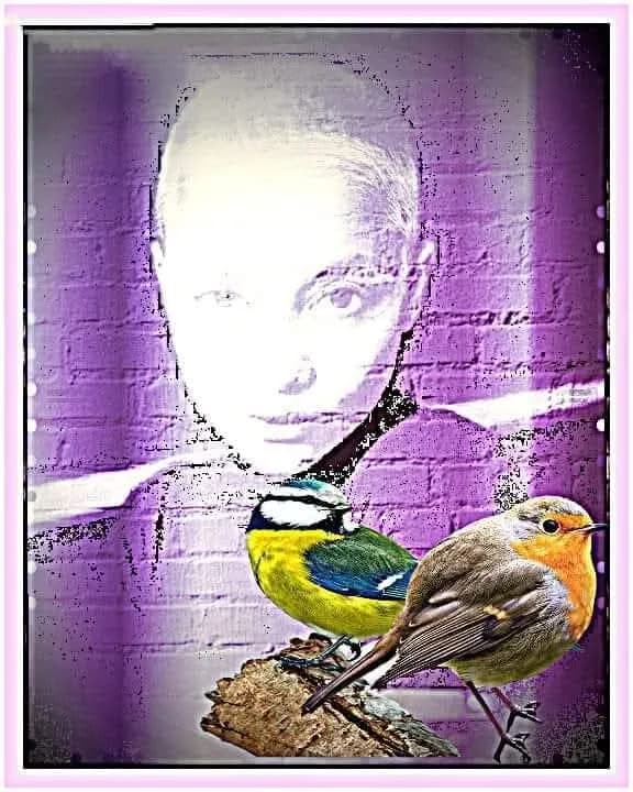 Whispers of Nature: A Surreal Encounter with Birds and Identity