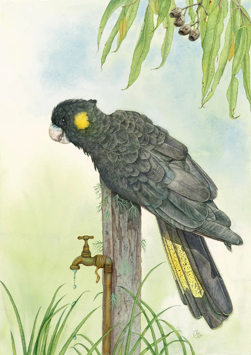 Whimsical Watercolor: The Majestic Black Cockatoo Perched by a Dripping Tap