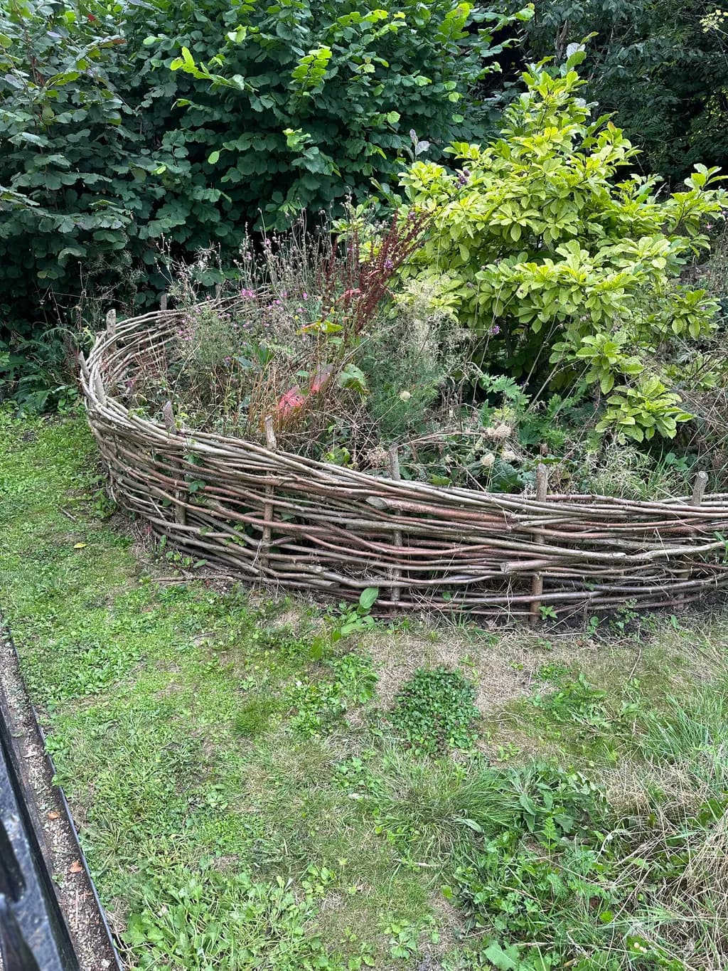 Whispers of Nature: A Serene Garden Embrace in Greenery and Organic Beauty