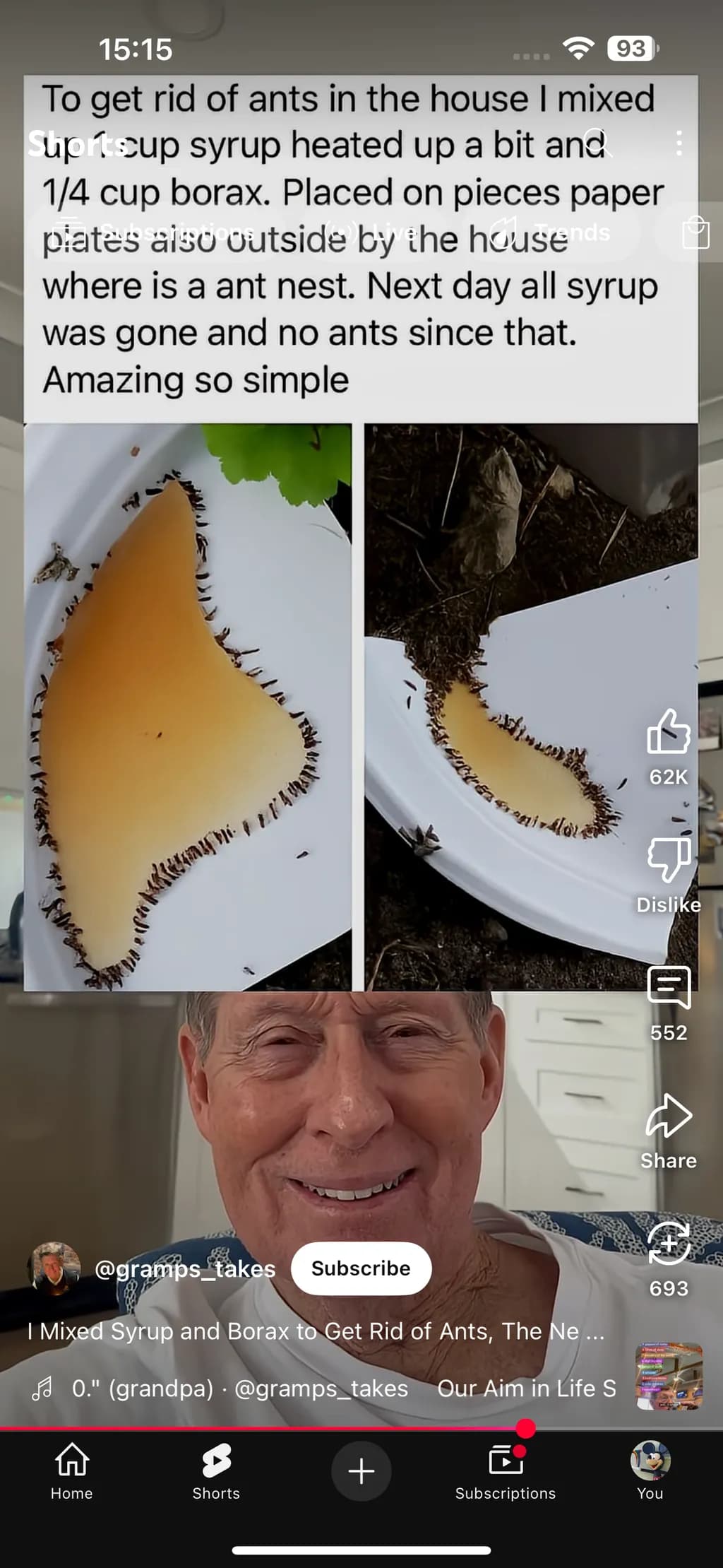 Ants Be Gone: A Simple Syrup and Borax Solution for a Pest-Free Home