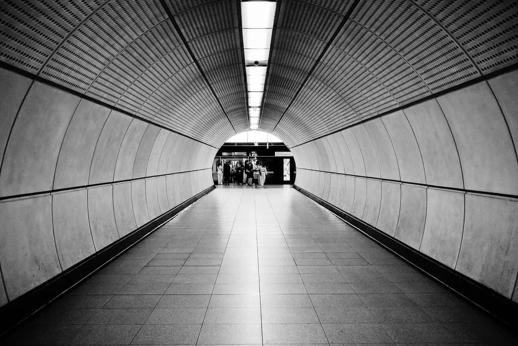 "Endless Journey: A Monochrome Passage Through Time"