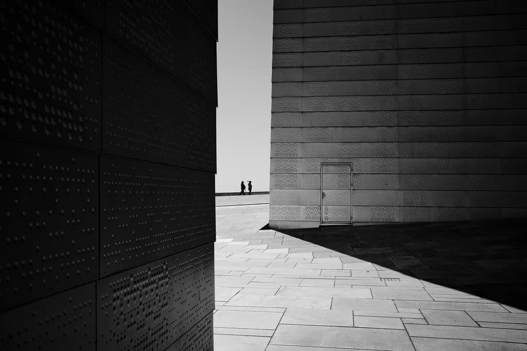 Shadows of Geometry: A Monochrome Dance of Figures and Architecture