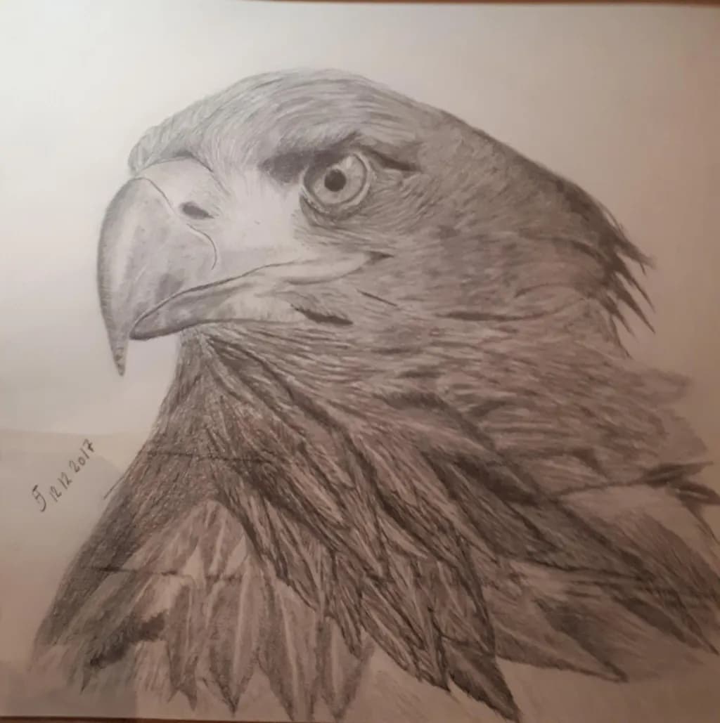 Majestic Eagle