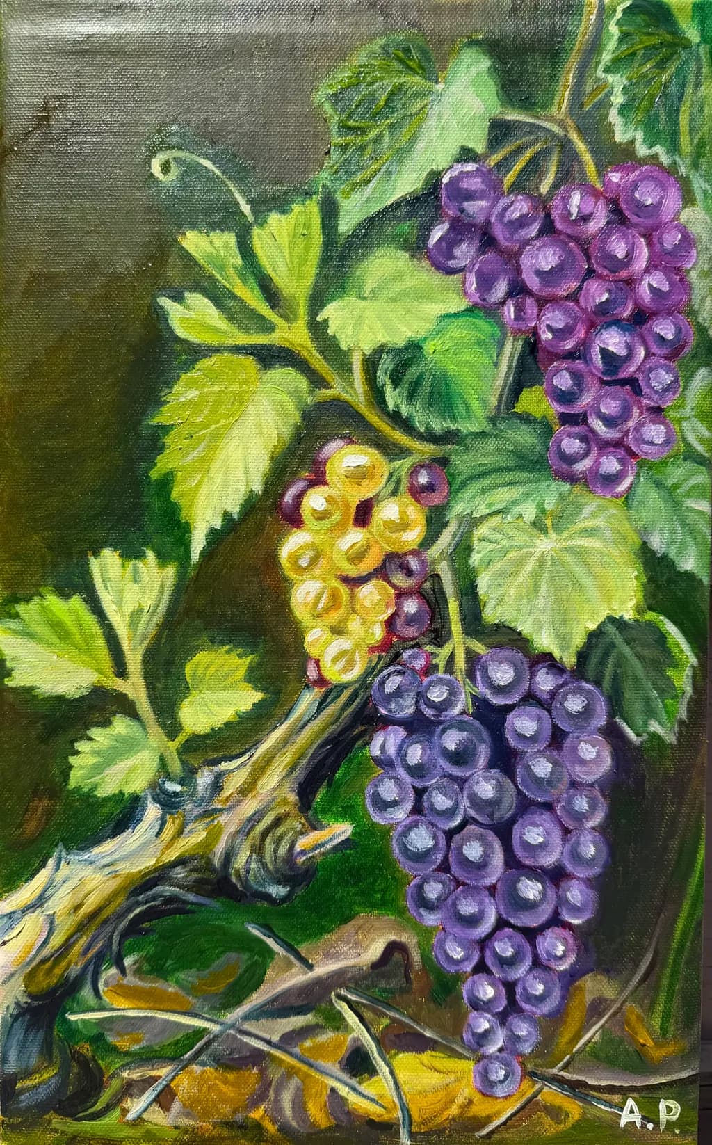 Grape Harvest Still Life