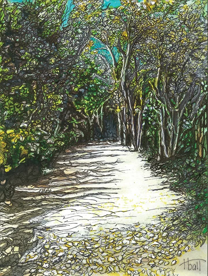 Whispers of Nature: A Sunlit Path Through the Enchanted Forest