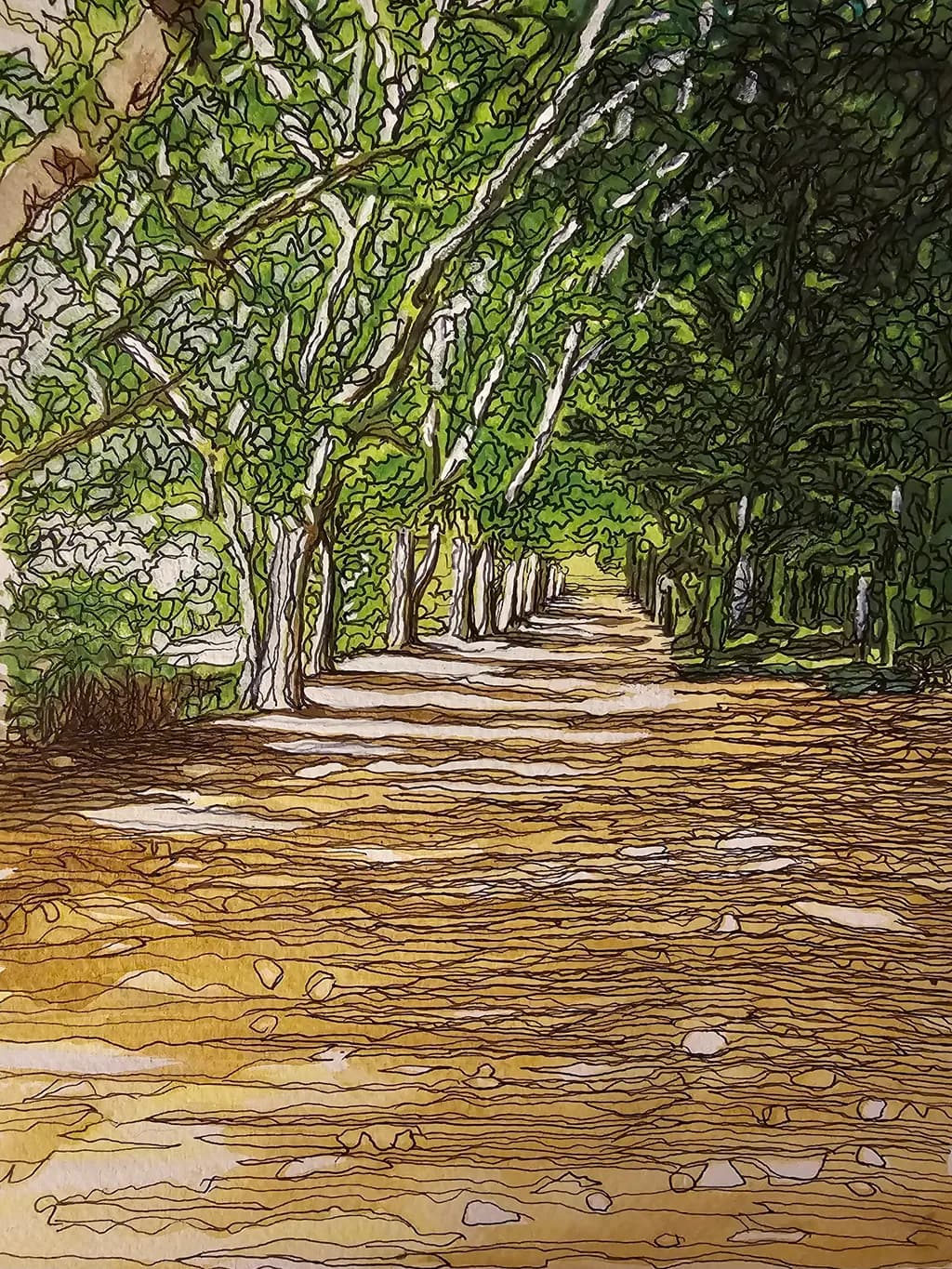 Tree-Lined Pathway