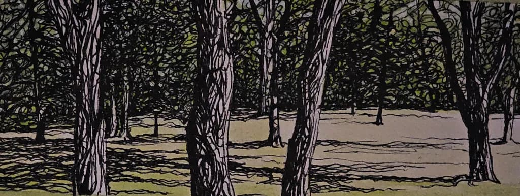 Forest Shadows