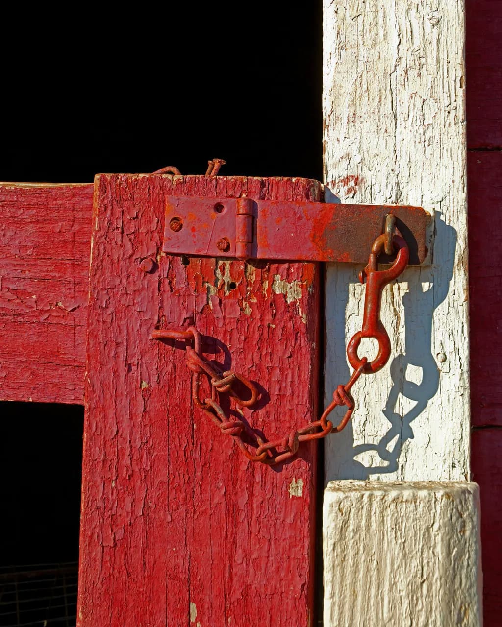 Rustic Resilience: The Story of a Weathered Barn Door Lock