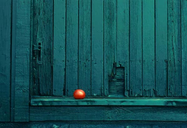 Boxcar tomato