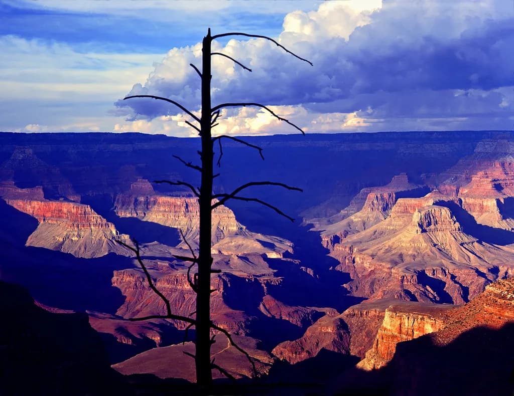 Whispers of the Grand Canyon: A Silhouette Against Nature's Majesty
