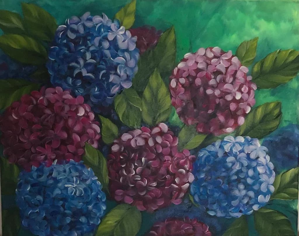 Hydrangea Harmony