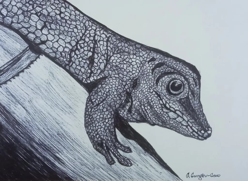 Lizard's Gaze: A Detailed Black and White Sketch of Nature's Intricacies