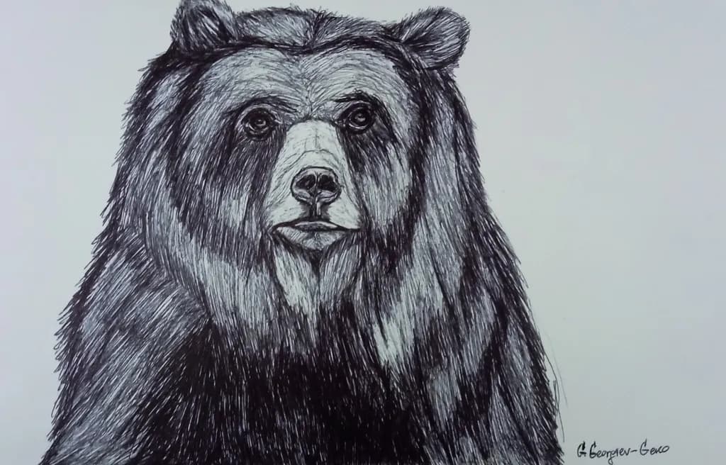 Majestic Bear: A Detailed Ink Portrait of Nature's Power