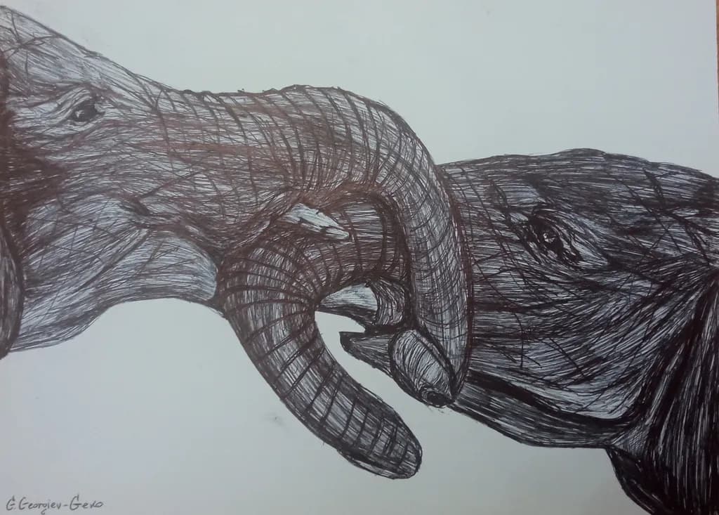 Elephant Embrace: A Sketch of Nature's Gentle Giants