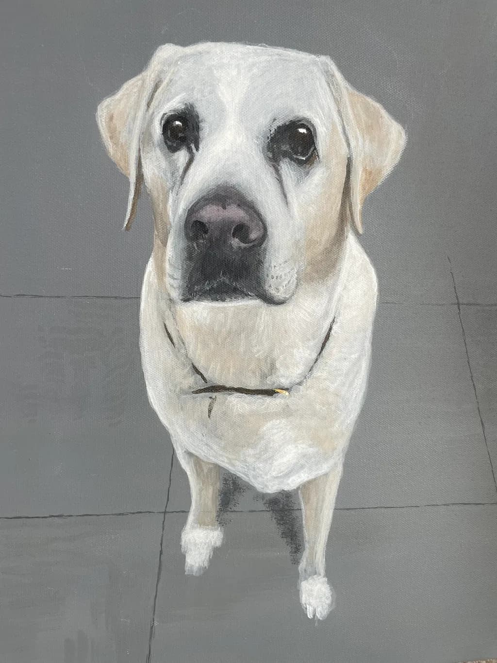 Curious Loyalty: A Portrait of a White Dog's Heart