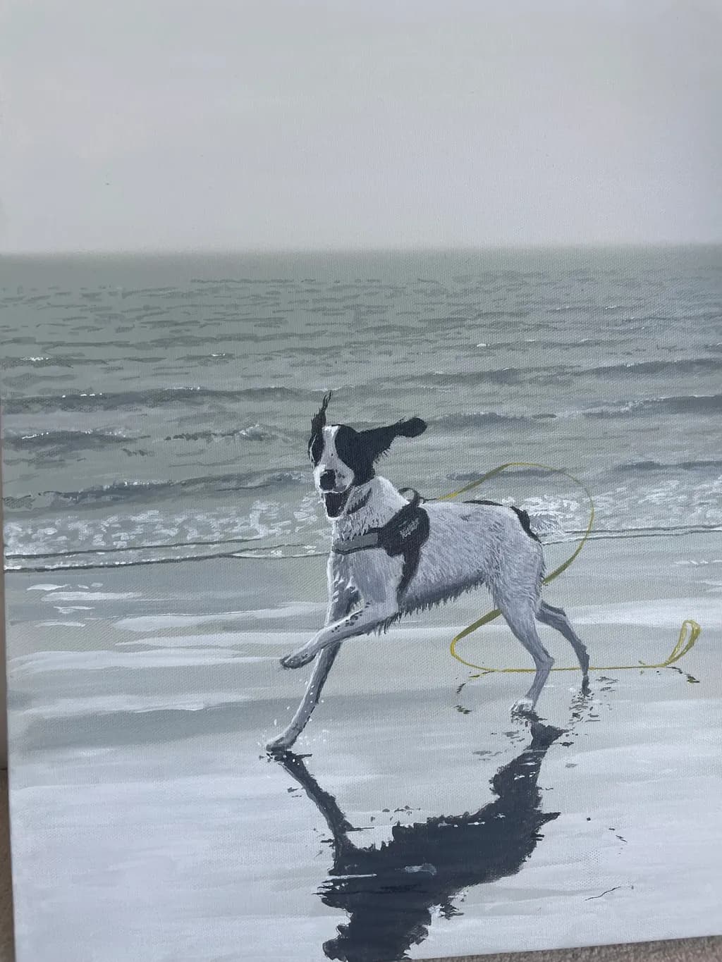 Joyful Splash: A Playful Dog's Dance by the Shoreline