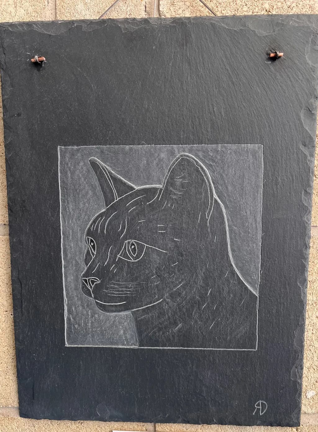 Cat Head Portrait
