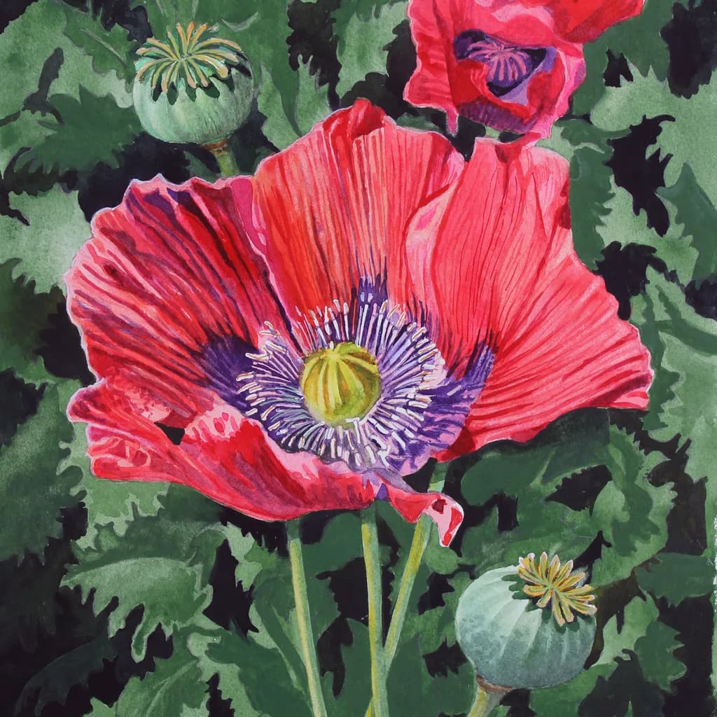 Vibrant Poppy Symphony: A Watercolor Celebration of Nature's Beauty