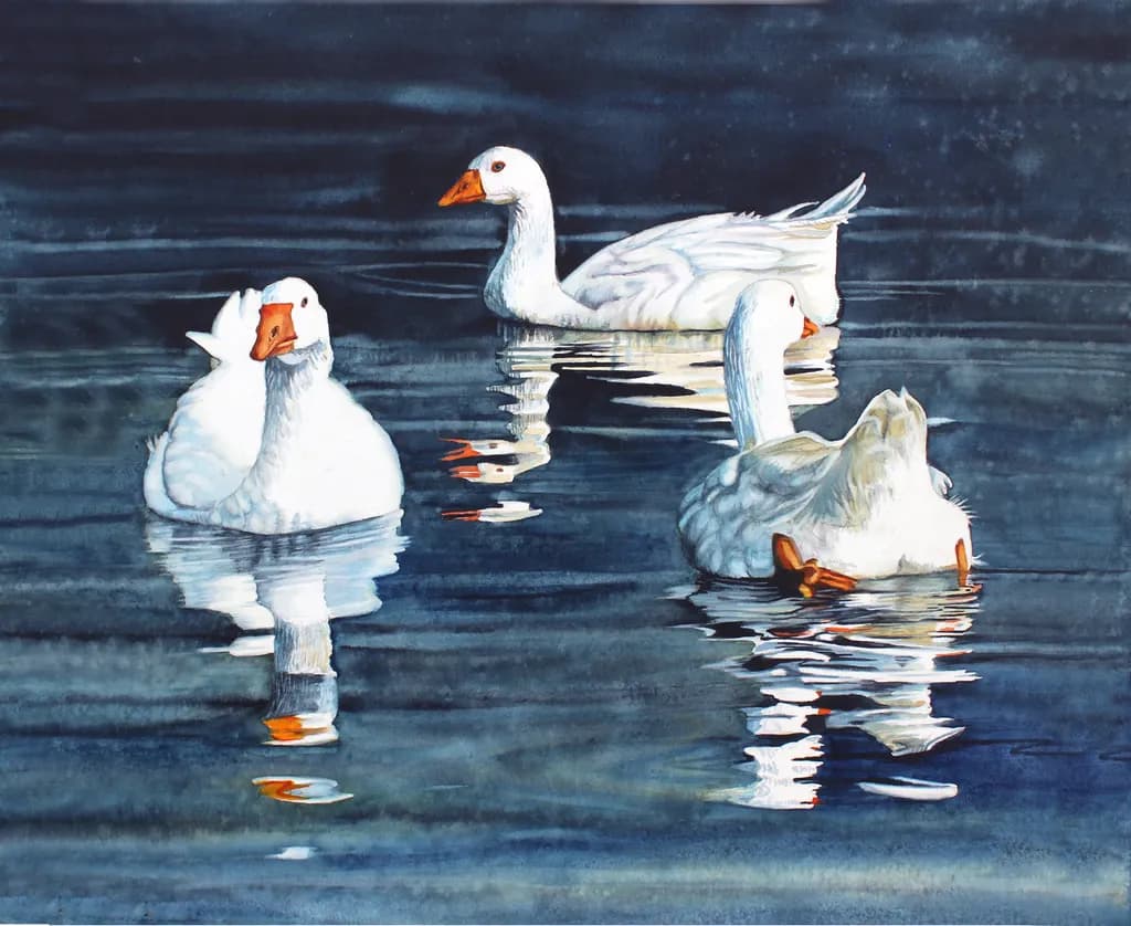 Serene Reflections: A Tranquil Gathering of Ducks on Water