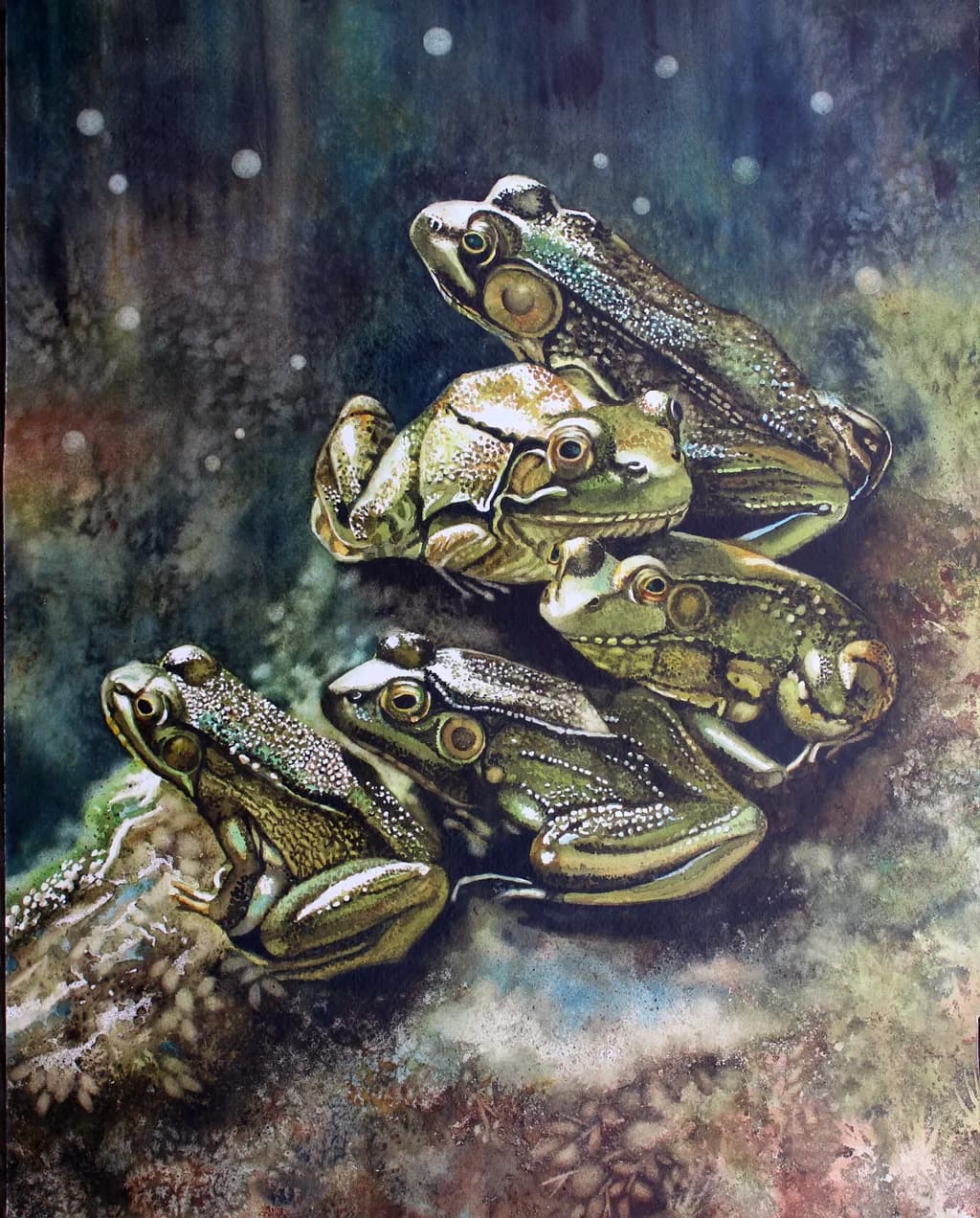 Whispers of the Wetlands: A Gathering of Frogs in Nature's Embrace